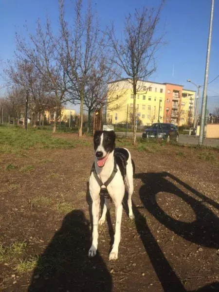 15823707 1235354619881724 7253568067274784180 n