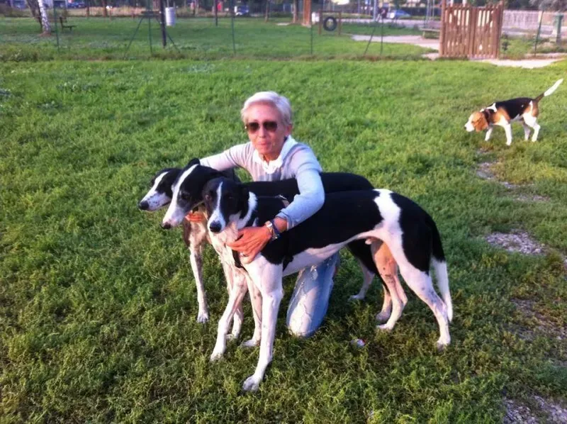 15826028 1235354456548407 6082553431796737966 n