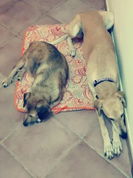 15826100 1250108951747372 751518148891397775 n