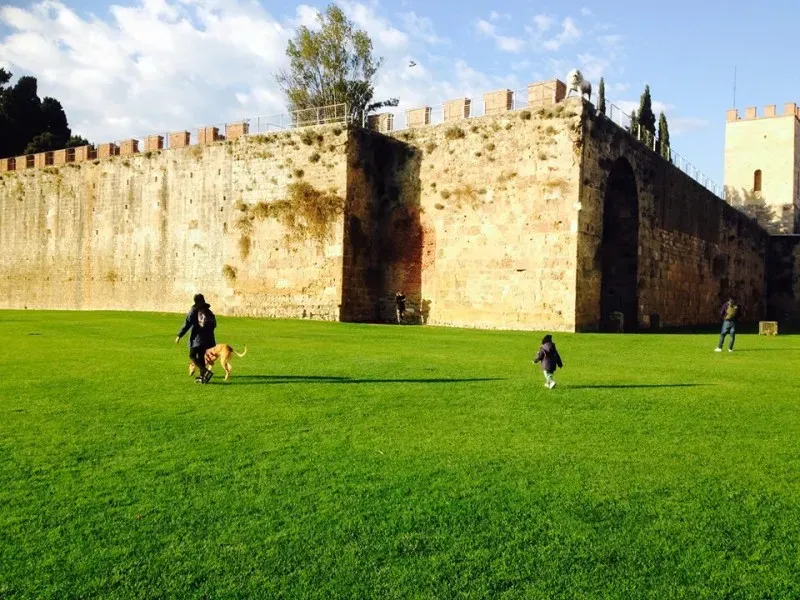 15826171 10211613484592624 4534709495808145740 n