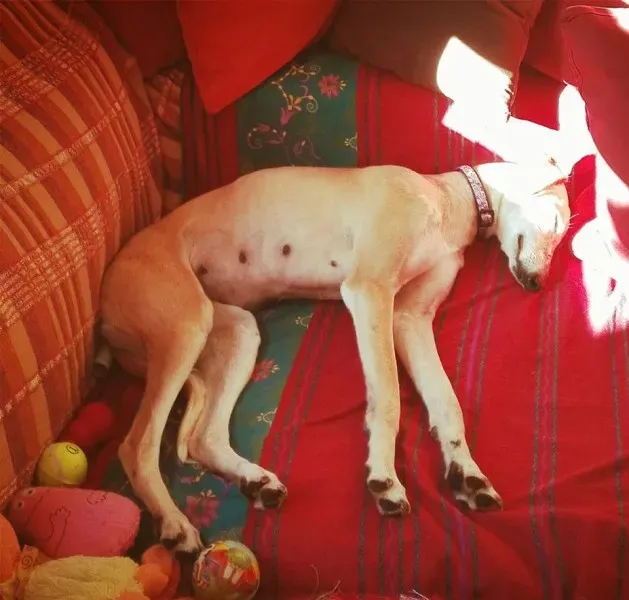 15826837 1250108958414038 5388550270488566179 n