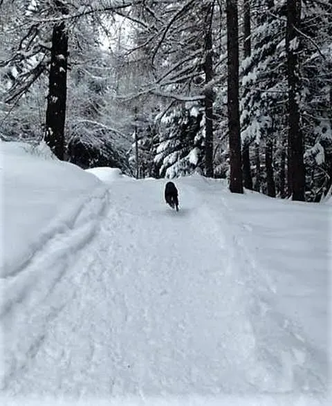 15871509 366532937052211 7417821512545956857 n