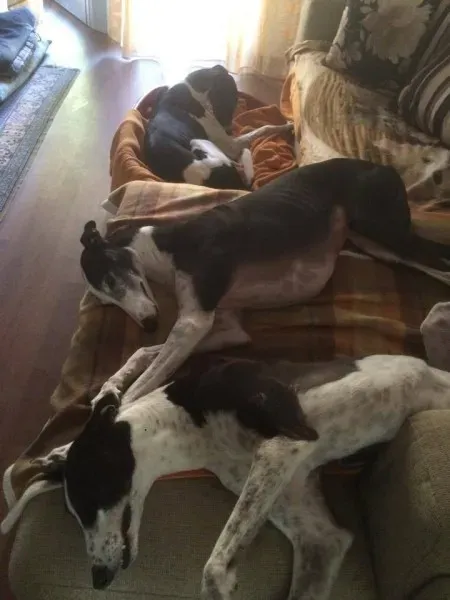 15873256 1235354389881747 5688855972159607890 n