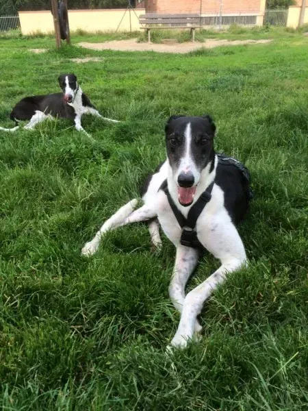 15873458 1235354513215068 7318743857578888204 n