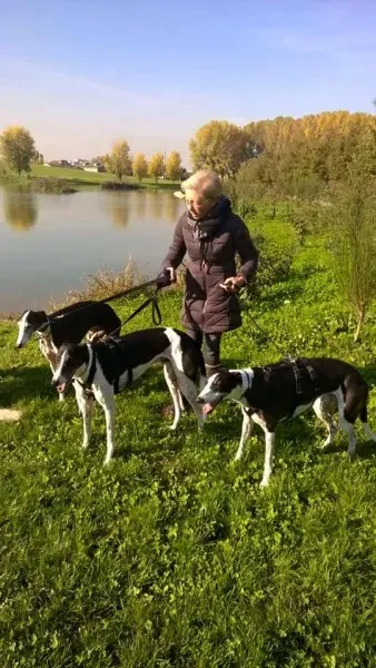 15873586 1235354543215065 4650546613436283639 n