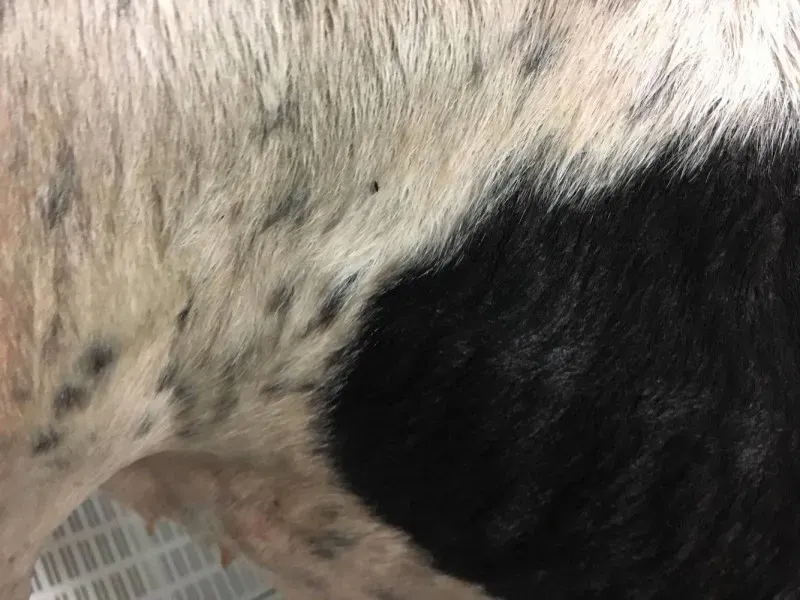 15877749 236137596841893 2128390530 o