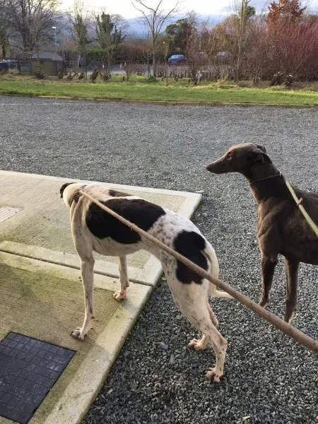 15878419 236136816841971 1121742487 o