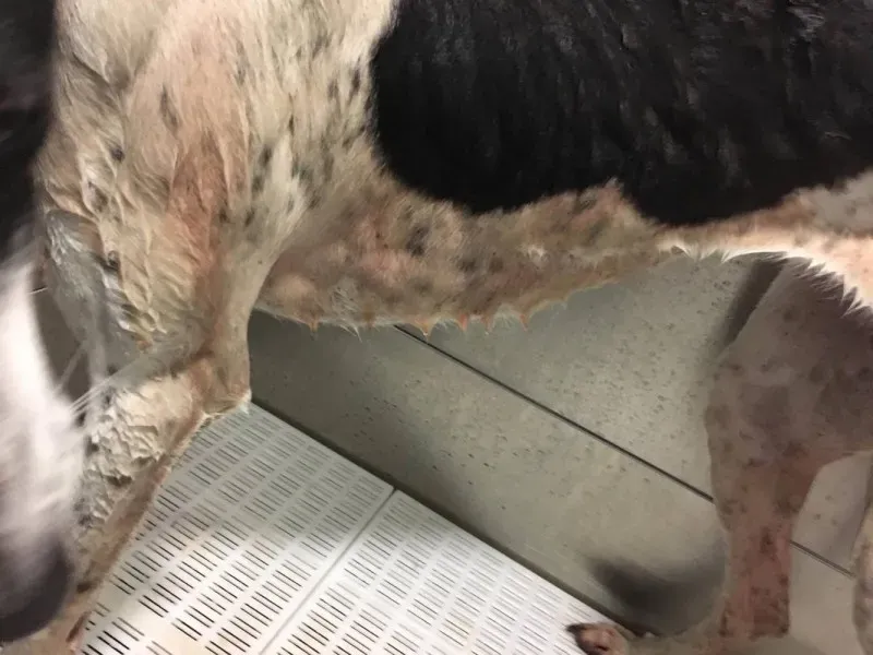 15878492 236137590175227 465637769 o