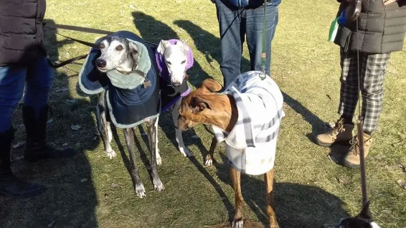 15894272 1181933051875343 5444628179054161536 n