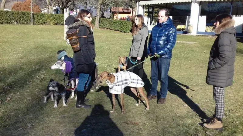 15894452 1181932925208689 5989318850939765973 n