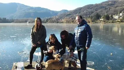 15894742 1181932691875379 1998859330208534995 n