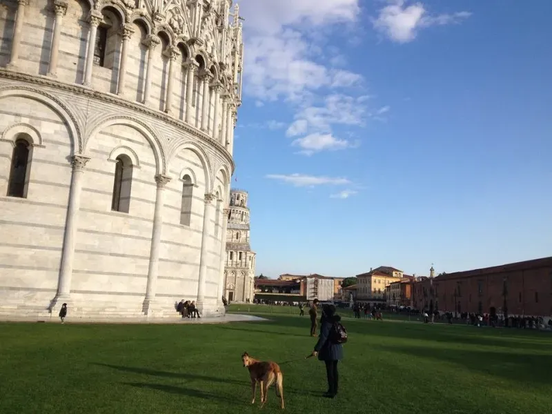 15894747 10211613483992609 2467937352520781194 n