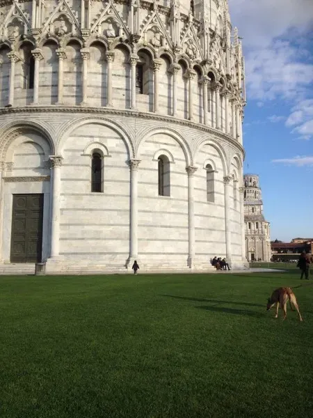 15895060 10211613484512622 2569909667838339270 n