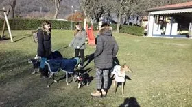 15895180 1181932885208693 4447170502791396756 n