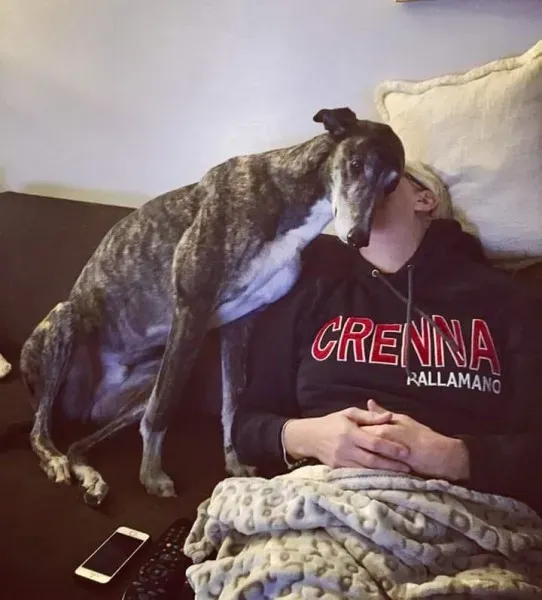 15895203 365842697121235 7202033953169246432 n