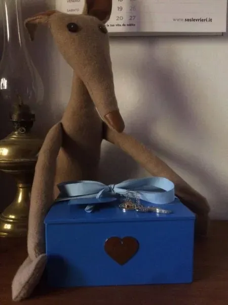 15895345 1235354626548390 6857116499301963564 n