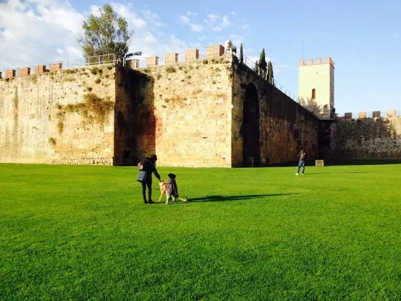 15895351 10211613484632625 2452504404679894693 n