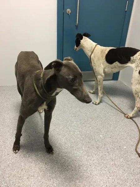 15908972 236136966841956 1429284203 o