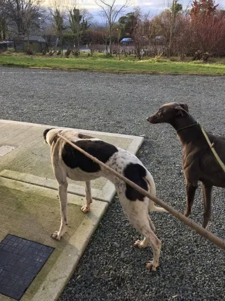 15909116 236136876841965 2015072568 o