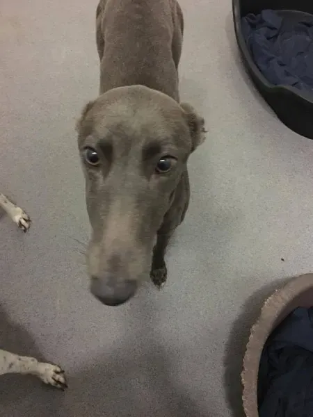 15909270 236138250175161 2069214085 o