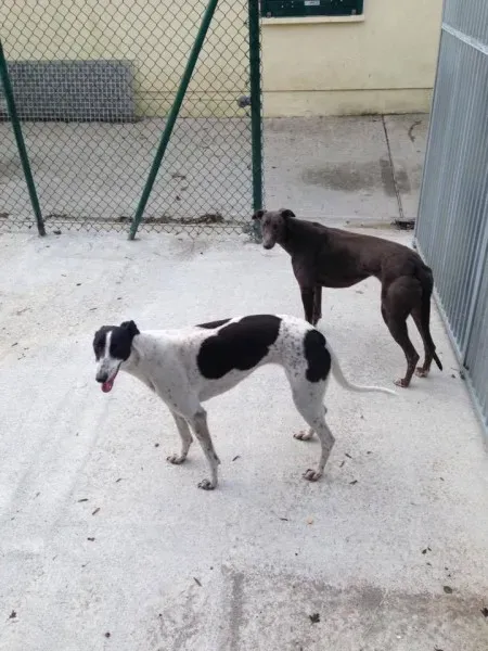 15910066 235532433569076 437255611 n