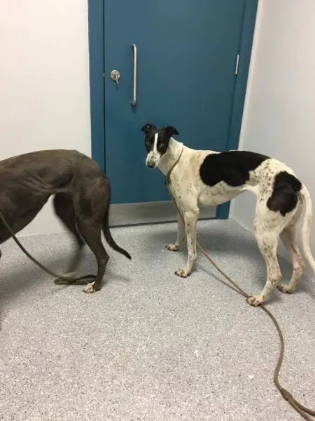 15933886 236136936841959 716957929 o