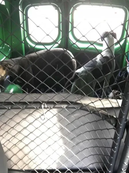 15934302 236136463508673 337177689 o