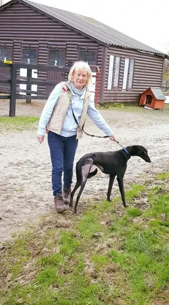 15937058 1521703237847370 9190141861154533114 o