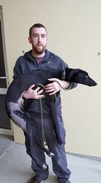 15937156 1520523817965312 8569246849727147869 o