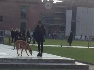 15940721 10211613482192564 615737404755341613 n