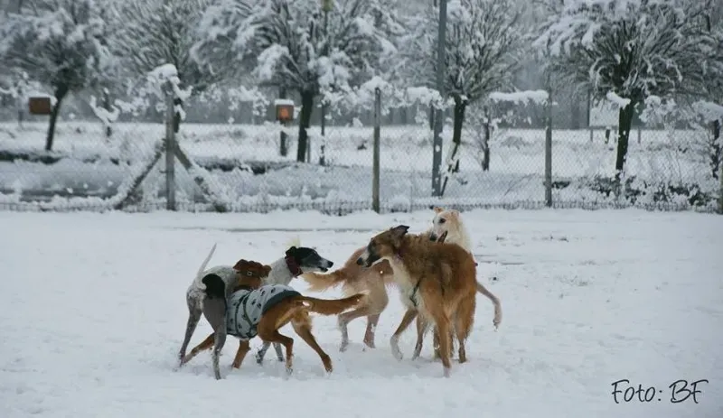 15940945 10211473535015580 6451746747340075211 n