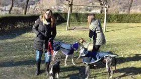 15941071 1181932851875363 7636322425957555458 n