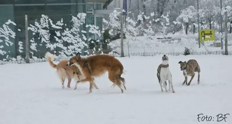 15941082 10211473537775649 1405427071583640964 n