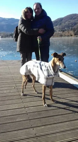 15941136 1181932771875371 9179225421349316470 n