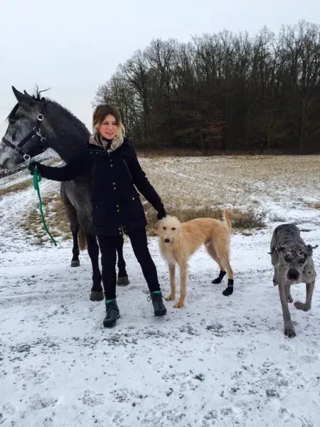 15941352 1330645186956661 4882295525268561199 n