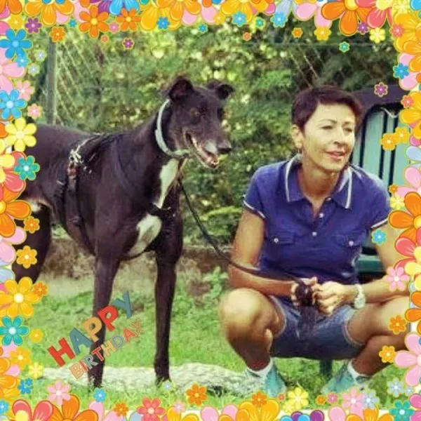 15941430 369013310137507 5721505889465421175 n