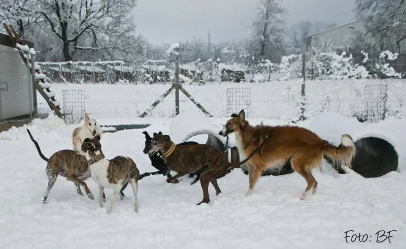 15941461 10211473535975604 6816050789538711470 n