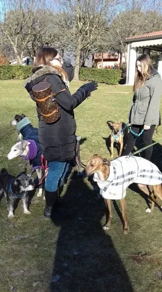 15965297 1181932991875349 8507636142071097418 n