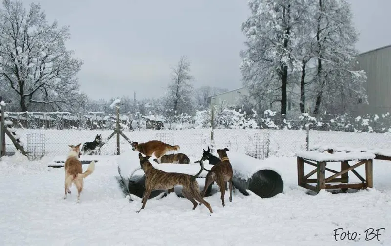 15965846 10211473537855651 5079766186627574744 n