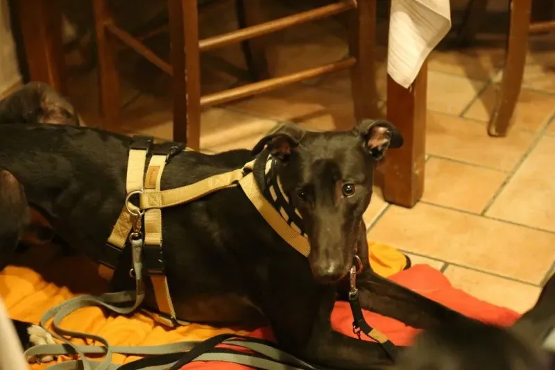 15972701 10206176998143589 7912430955733046825 o