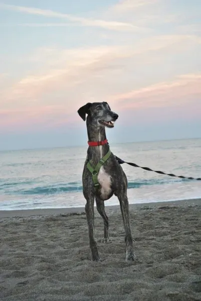 1597311 754100167989553 1961513215144244469 o