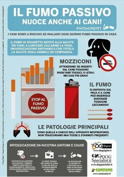 15977065 1401927639849935 1942275895304319145 n