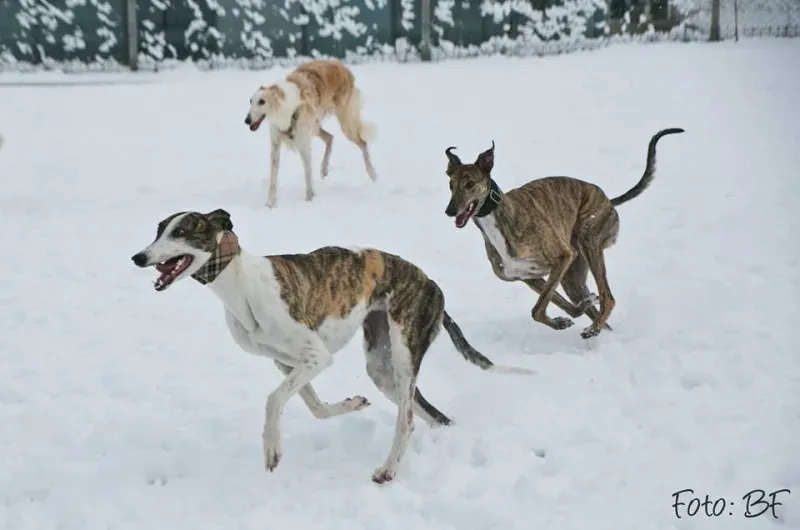 15977303 10211473535935603 7071926191758299855 n