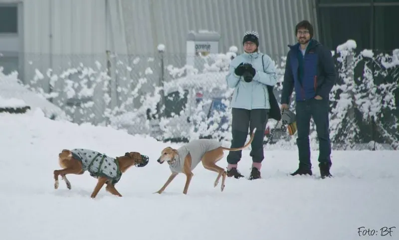 15977389 10211473534935578 5076922472517266919 n