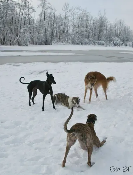 15978021 10211473537895652 7024360857095736821 n