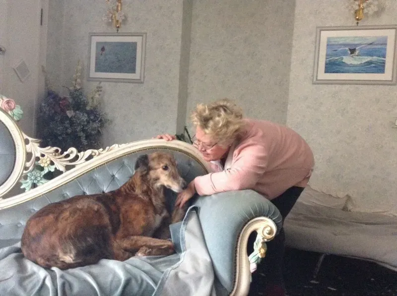 1598851 1517982161791955 281257026905193515 o