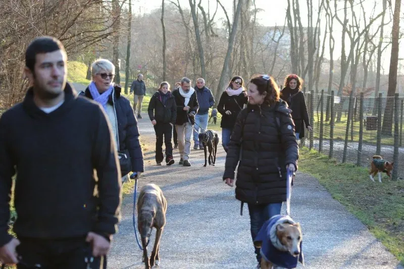 15995159 10206177015344019 7551692413023927740 o