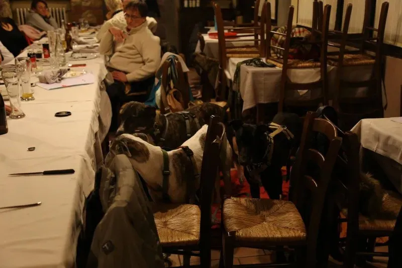 15995252 10206176980943159 632710914614108553 o