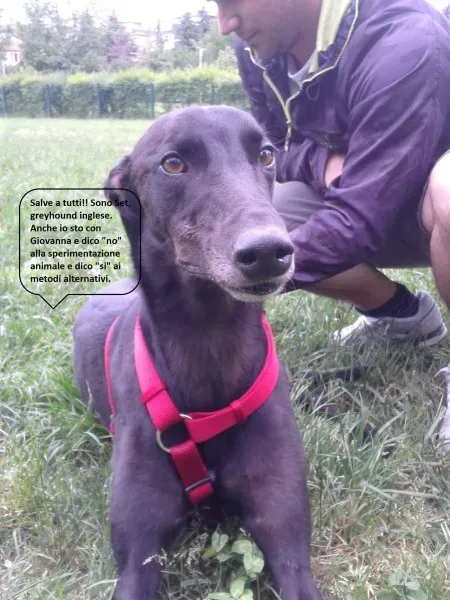 1599714 10200437799465945 1007027238 o