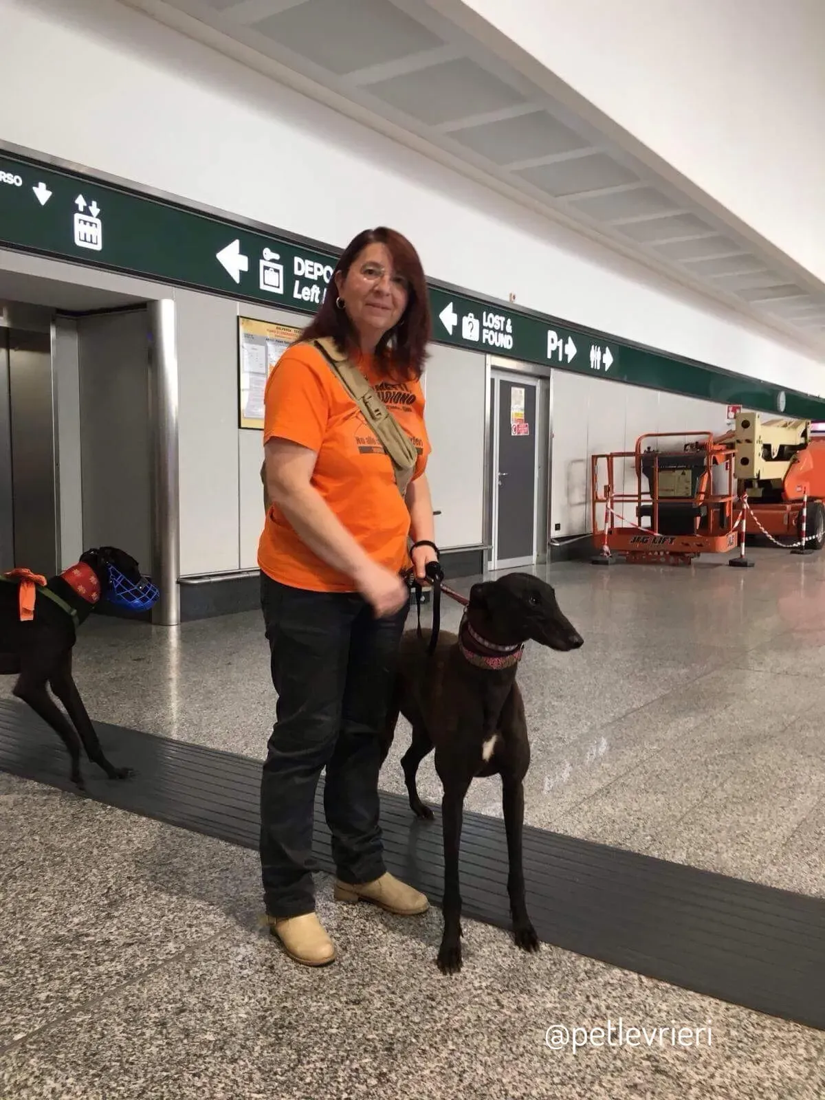 15  Rosie petlevrieri mercatodellacarne cina macao onlus